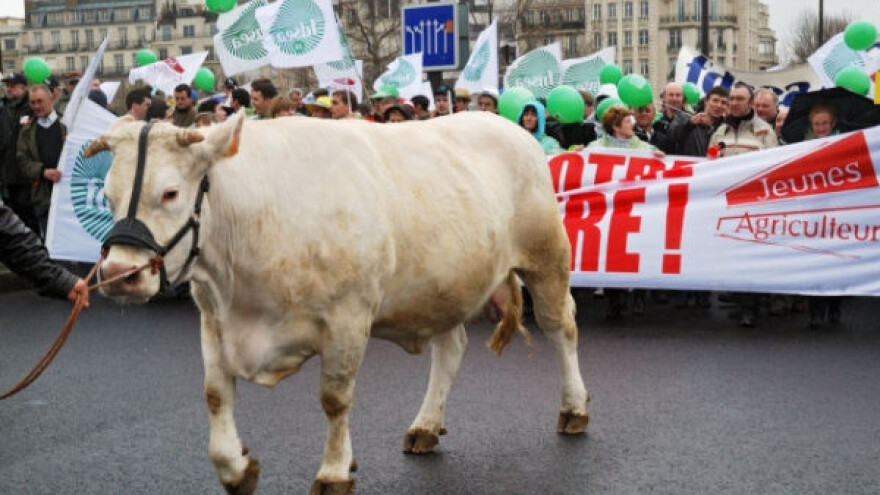 Optužuju trgovačke lance za utaju poreza