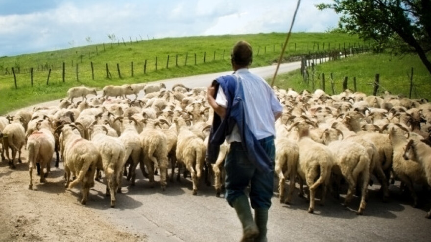 Poljoprivrednici najavljuju protest ispred Vlade