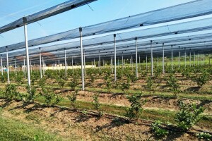 Danas isplaćeno oko 1,6 miliona KM potpora za modernizaciju sistema protivgradne odbrane