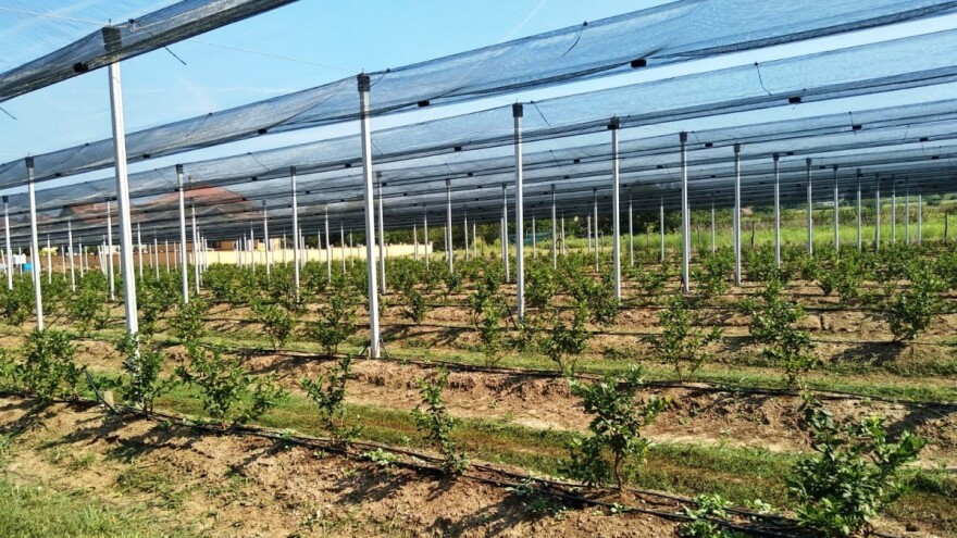 Danas isplaćeno oko 1,6 miliona KM potpora za modernizaciju sistema protivgradne odbrane