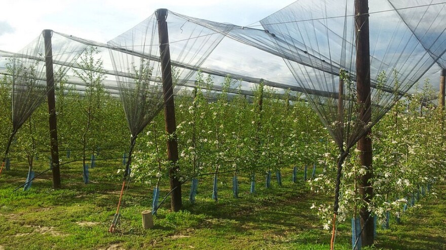 Subvencije za nabavku novih mašina i opreme: Konkurs do 30. avgusta