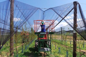Izdvojeno 435 miliona dinara za nabavku mašina i zaštitu useva