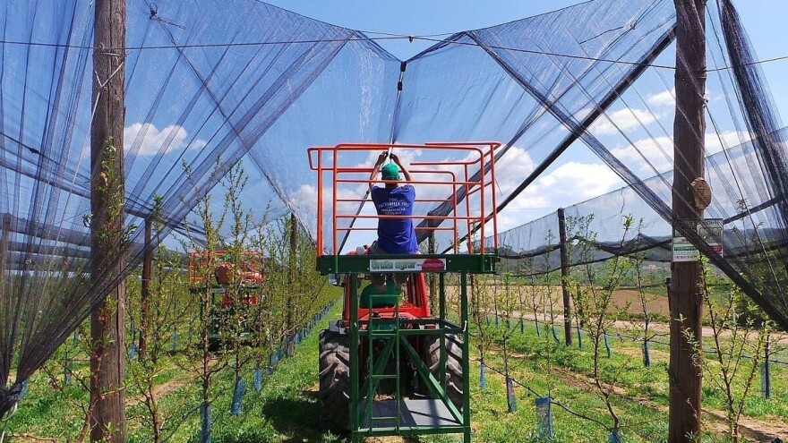 Izdvojeno 435 miliona dinara za nabavku mašina i zaštitu useva