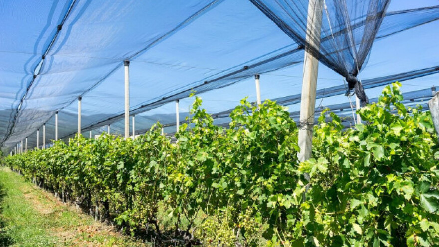 Za zaštitu od nepogoda 125 miliona dinara