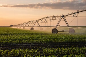 Provedba projekta navodnjavanja