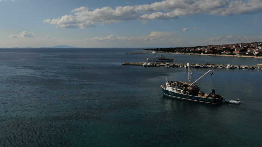 Mala plava riba: Proveli smo noć na plivarici "Galo" kapetana Damira Mišlova