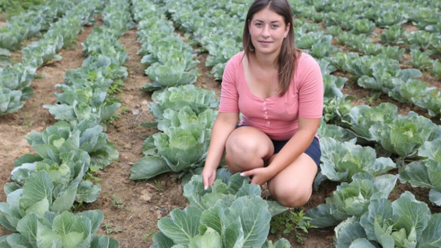 Lidl širi ponudu domaćih dobavljača