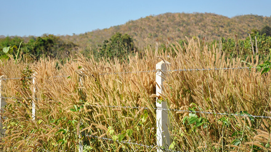 Izumiranje poljoprivrede u Hercegovini