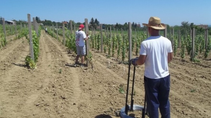 EK: Tko je problem napravio - neka ga i riješi!