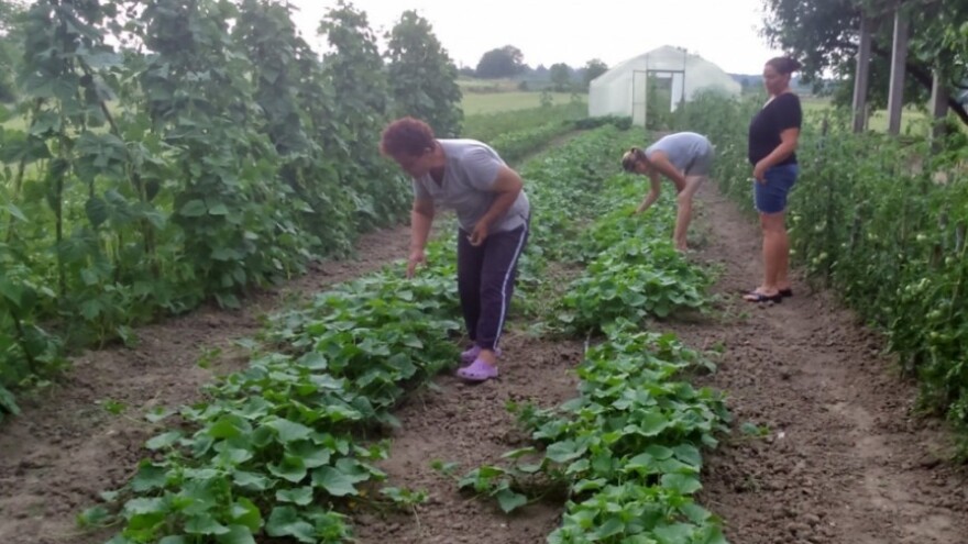 2,7 milijuna kuna za 49 korisnika podmjere 6.3