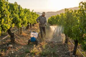 Prskalice tačke - odličan odabir za radove na nepristupačnim terenima