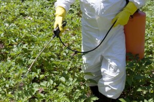Koje su prednosti i mane biopesticida?