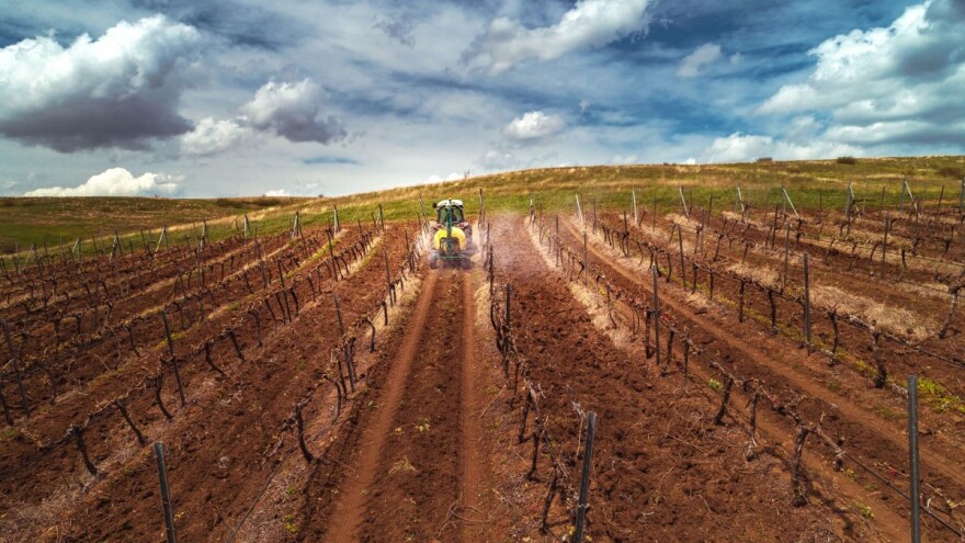 Redovitim praćenjem optimalnih uvjeta pojave štetnika i bolesti do ciljane zaštite vinograda