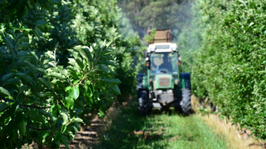 Zaštita jabuke od smotavca i grinje
