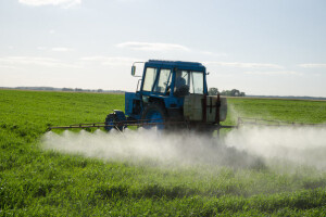 Francuzi zabranjuju pesticide štetne za pčele?