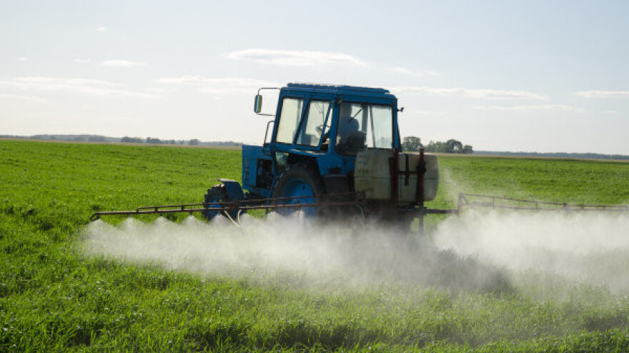 Francuzi zabranjuju pesticide štetne za pčele?