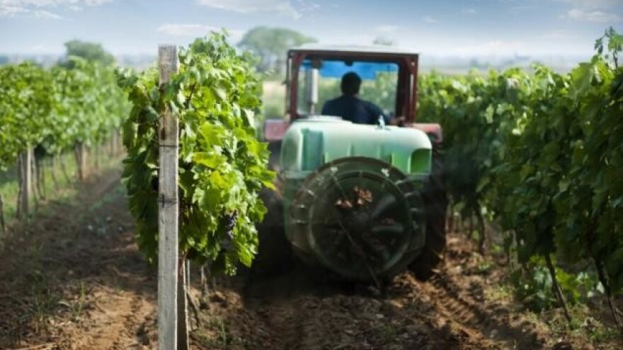 Vrijeme je za zimsko prskanje bakrom!