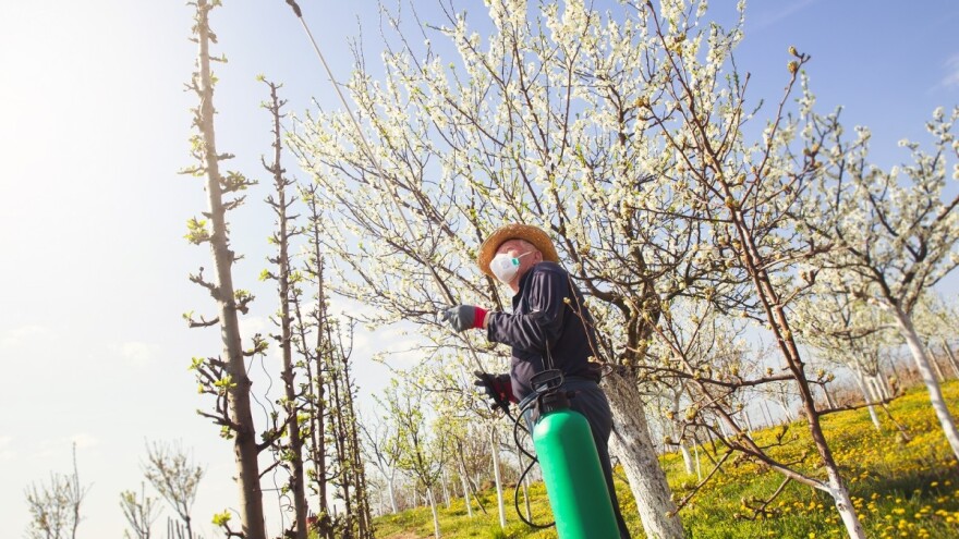Prolećna zaštita voća je obavezna nega