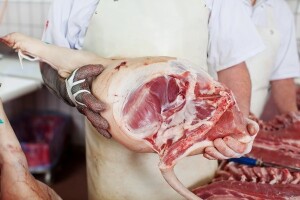 Uskoro MEL-ova nova pršutana i poslovni centar