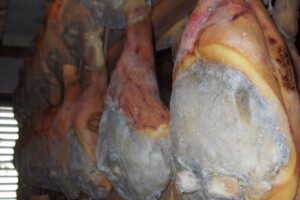 Tradicijska proizvodnja pršuta