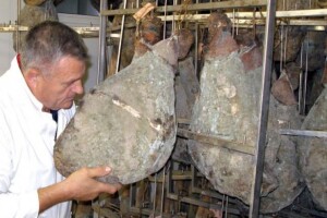 Proizvođači pršuta iz Istre inicijatori za osnivanje klastera