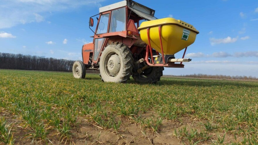 Što je bitno kod prihrane pšenice i ostalih strnih žitarica?