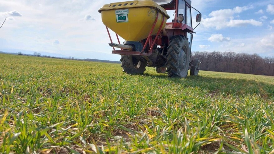 Vreme je, čim stanje zemljišta omogući, obavite prvu prolećnu prihranu ozimih strnih žitarica
