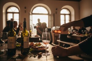 Prva  prodajna Galerija vina u Petrovčiću