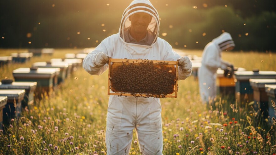 Prva proizvođačka organizacija u pčelarstvu!