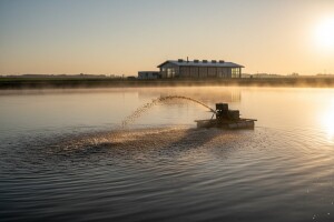 Prva tvornica za preradu ribe koja je uspjela?
