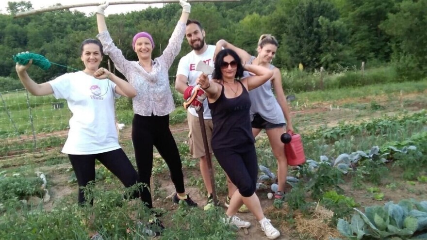 Banjalučani na nekada zapuštenom gradskom zemljištu danas uzgajaju bio povrće