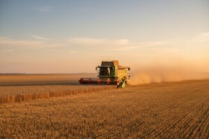 Prvi otkosi usjeva pšenice govore o prosječnoj godini!