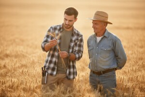 Prvih 20 godina RWA u Hrvatskoj uz  nove sorte i novi tim:  otkupit ćemo više od 125.000 tona žitarica i uljarica!