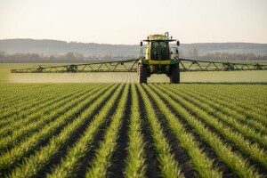 Prvo prskanje žitarica protiv važnih bolesti