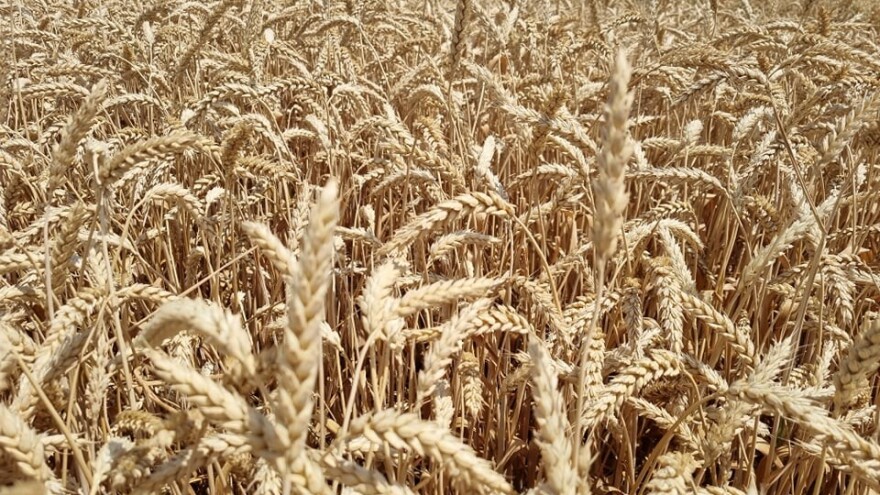 Mjera 17: Za osiguranje usjeva, životinja i biljaka na raspolaganju 140 milijuna kuna