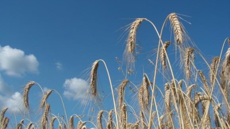 Poticaji poljoprivredi smanjeni 6 posto