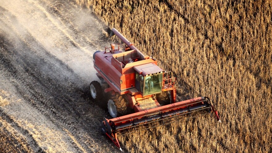 Kolika će biti cena pšenice roda 2018?