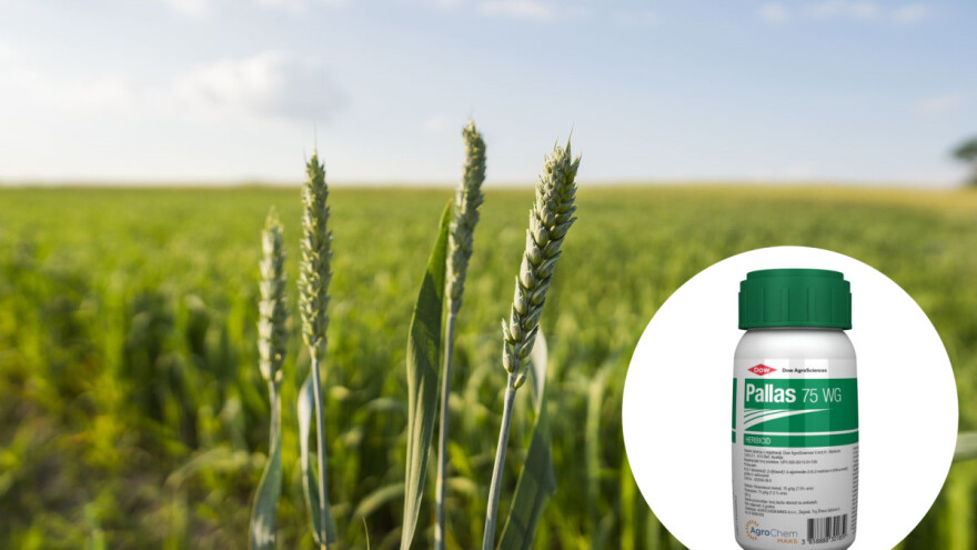 Ivo Vuković: S Pallasom 75 WG nema korova, polja su čista, a žetva je lakša