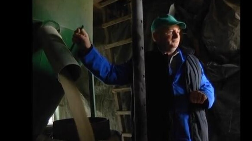 Uvozit ćemo i pšenicu?