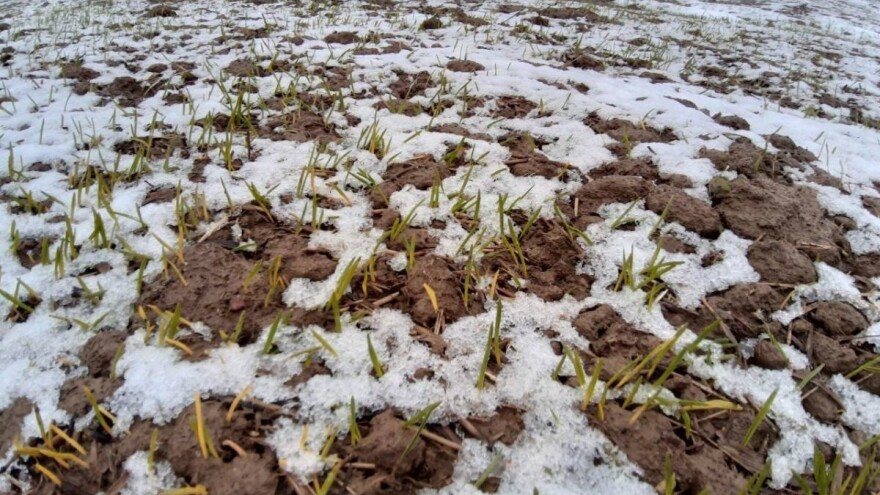 Topljenje sniježnog pokrivača povećaće rezerve zemljišne vlage