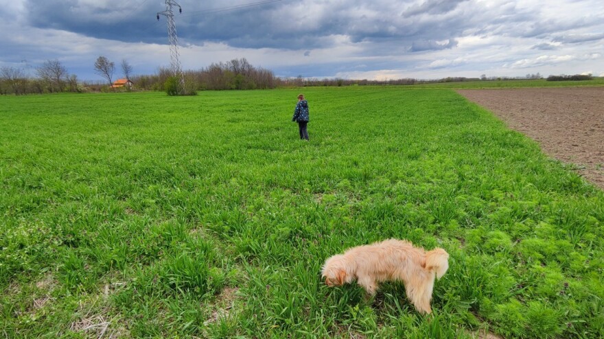U narednom periodu svežije i vetrovito s mestimičnom kišom