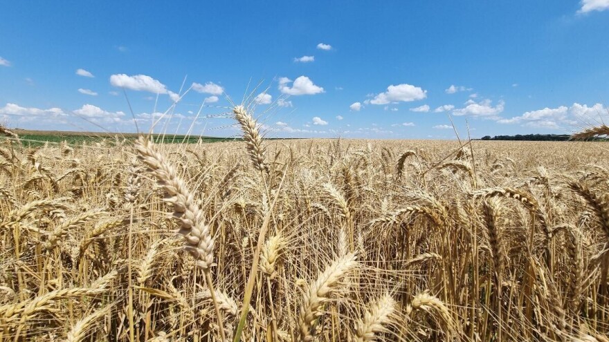 Pale se alarmi, ljeto donosi temperaturu od 40°C, za vikend promjena