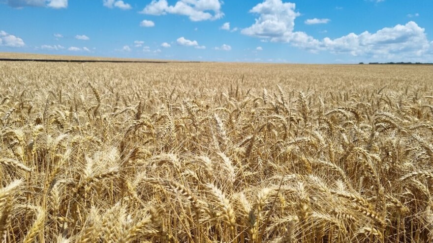 Do nedelje ekstremno toplo sa temperaturama do 40°C