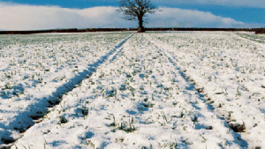 Snijeg pogoduje poljoprivrednim usjevima