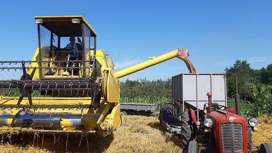 Premije za pšenicu dva feninga po kilogramu, ko još dobija potpore?