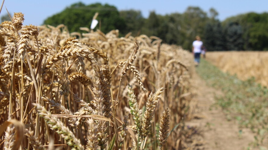 Domaća pamet uspješno konkurira svjetskim liderima - što zaslužuje respekt