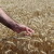 Stanje u Ukrajini povisilo cene poljoprivrednih inputa za gotovo 10 odsto u prvom tromesečju