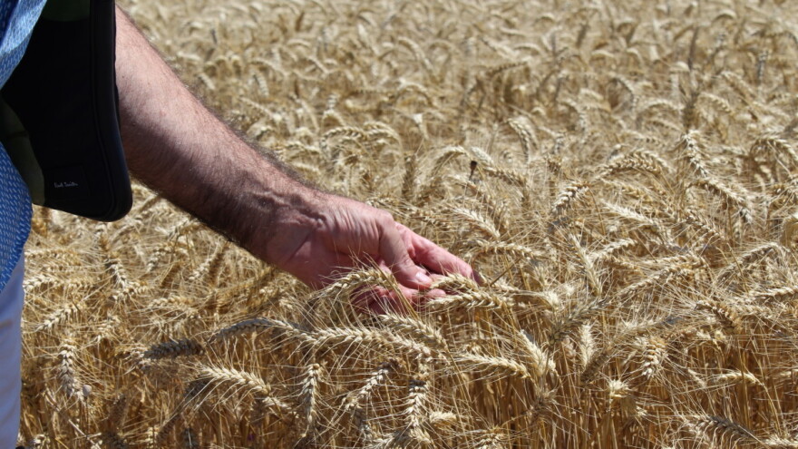 Stanje u Ukrajini povisilo cene poljoprivrednih inputa za gotovo 10 odsto u prvom tromesečju