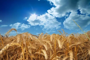Sunčano i toplo s povremenim pljuskovima