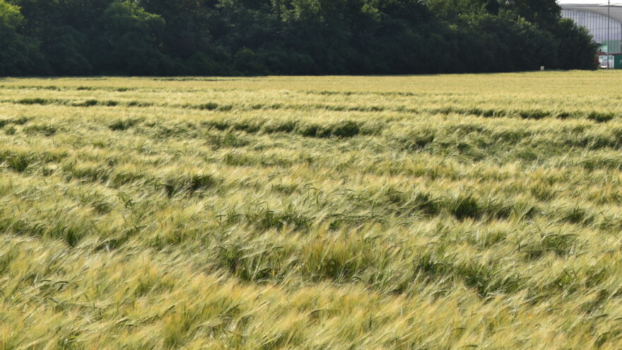 Šta nam donose učestale smjene kišnih i sunčanih perioda?